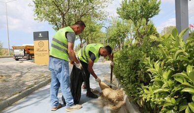 Efes Selçuk’ta Çalışmalar Büyükşehir İş Birliği İle Hız Kazandı