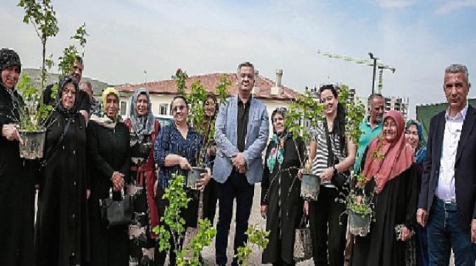 Keçiören Belediyesi tarafından tarımsal üretimi desteklemek için 205 Bin Fide Çiftçilere Dağıtıldı