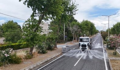 Aydın Büyükşehir Belediyesi’ne bağlı temizlik ekipleri, Aydın kent genelinde çalışmalarını sürdürüyor