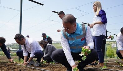 Beylikdüzü Belediyesi tarafından hayata geçirilen ve kent tarımına büyük katkı sunan Yaşam Bahçesi’nde yaz mevsiminin ilk fideleri dikildi