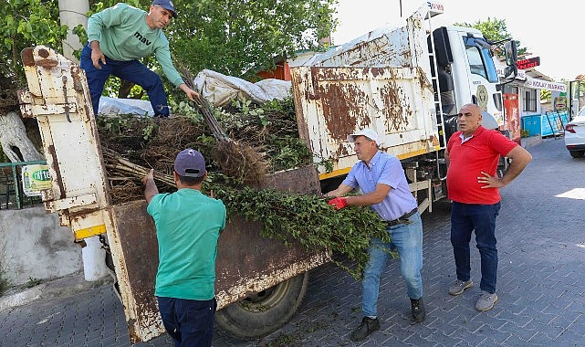 Buca Belediyesi, tarımsal üretimde çeşitliliği artırmak amacıyla köyler bölgesinde meyve fidanı dağıtımı yaptı