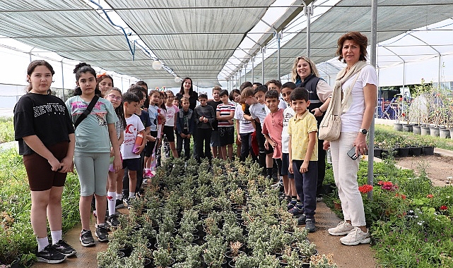 Efeler Cumhuriyet İlkokulu’nun öğrencileri ve öğretmenleri, derslerini Aydın Büyükşehir Belediyesi’nin Mimar Sinan Mahallesi’ndeki fidanlığında işledi