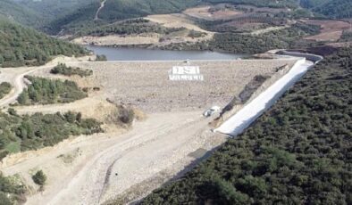 Manisalı üreticiye Çamönü Müjdesi