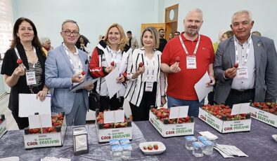 Menemen’de bu yıl 14. kez gerçekleştirilen Emiralem Çilek Festivali, yüz binlerce ziyaretçinin buluşma noktası oldu