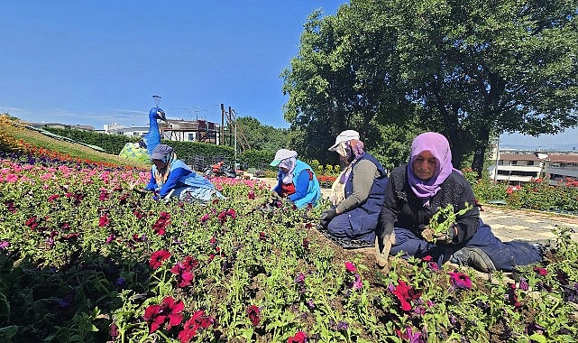 Osmangazi çiçek açıyor