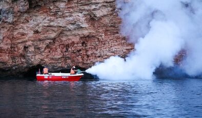 Vektörel mücadele hem denizden hem karadan sürüyor