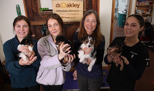 ‘Yukon Veterineri: Kadınların Öyküleri Özel’ 8 Mayıs Çarşamba Günü 20.00’de National Geographic WILD Ekranlarında!