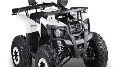 A101’e 20 Haziran’da Uygun Fiyatlı Benzinli ATV Geliyor