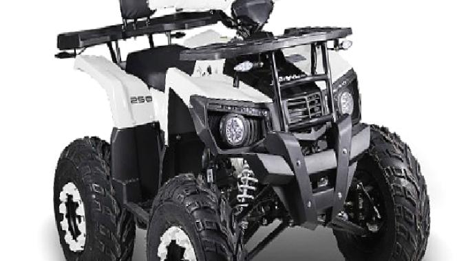 A101’e 20 Haziran’da Uygun Fiyatlı Benzinli ATV Geliyor