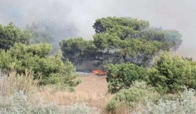 Antalya Büyükşehir İtfaiyesi alevlerle mücadele ediyor