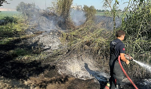 Aydın Büyükşehir Belediyesi İtfaiye Daire Başkanlığı ekipleri hızlı bir şekilde müdahale ederek kontrol altına aldı