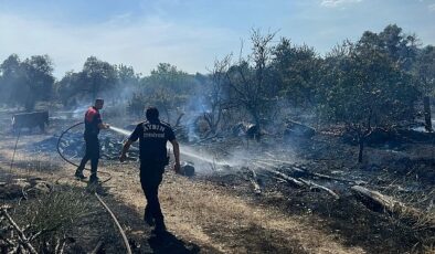 Aydın Büyükşehir Belediyesi İtfaiyesi, bugün öğle saatlerinde Efeler’in Umurlu Mahallesi’nde çıkan arazi yangınına kısa sürede müdahale ederek bir facianın önüne geçti