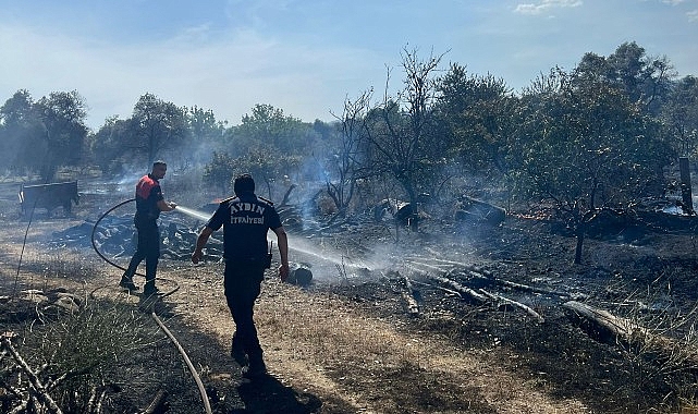 Aydın Büyükşehir Belediyesi İtfaiyesi, bugün öğle saatlerinde Efeler’in Umurlu Mahallesi’nde çıkan arazi yangınına kısa sürede müdahale ederek bir facianın önüne geçti