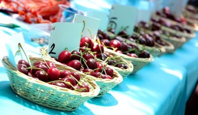 Bornova’da Kiraz Festivali heyecanı