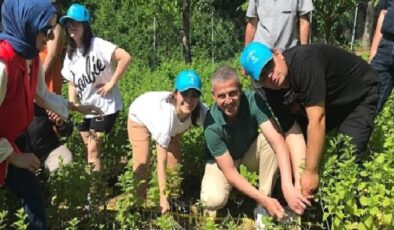 Özel çocuklarımız sebze ve aromatik bitki yetiştiriyor