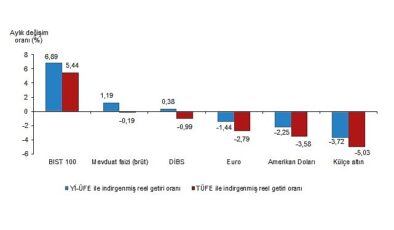 Tüik: Aylık en yüksek reel getiri BIST 100 endeksinde oldu