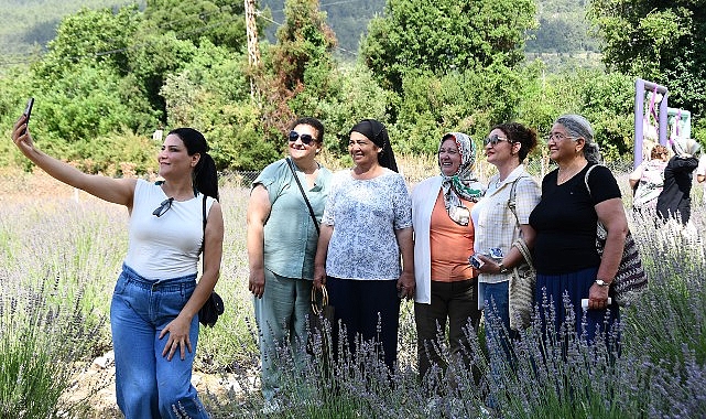 Kemer’de lavanta tanıtım etkinlikleri devam ediyor