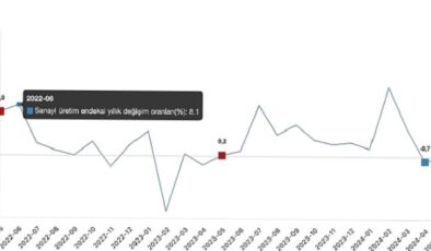 Tüik: Sanayi üretimi yıllık %0,1 azaldı